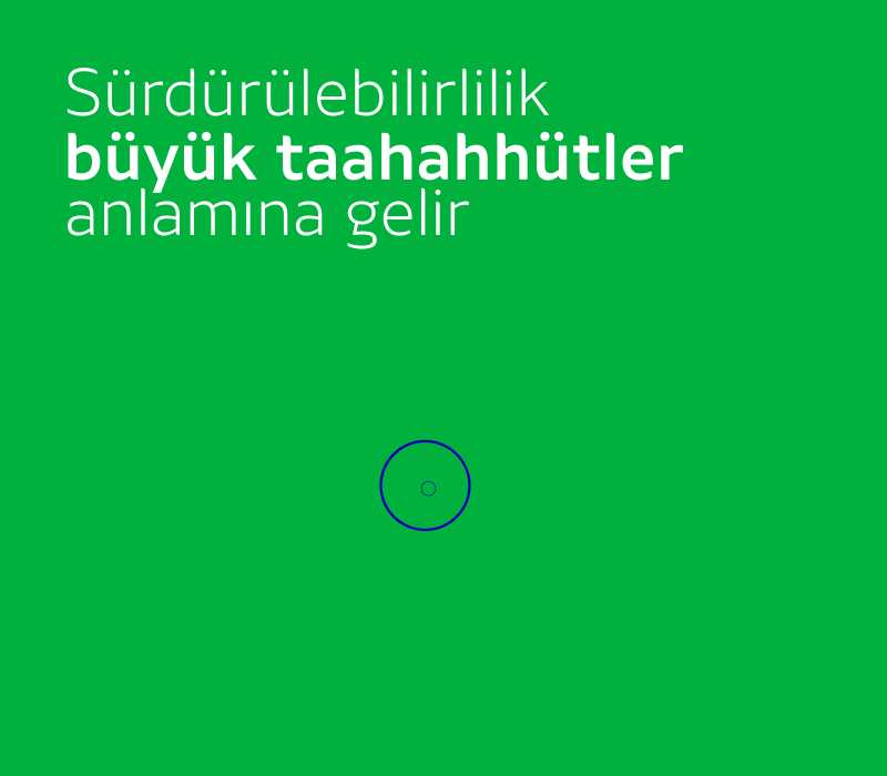 Decarbonization-sustainability